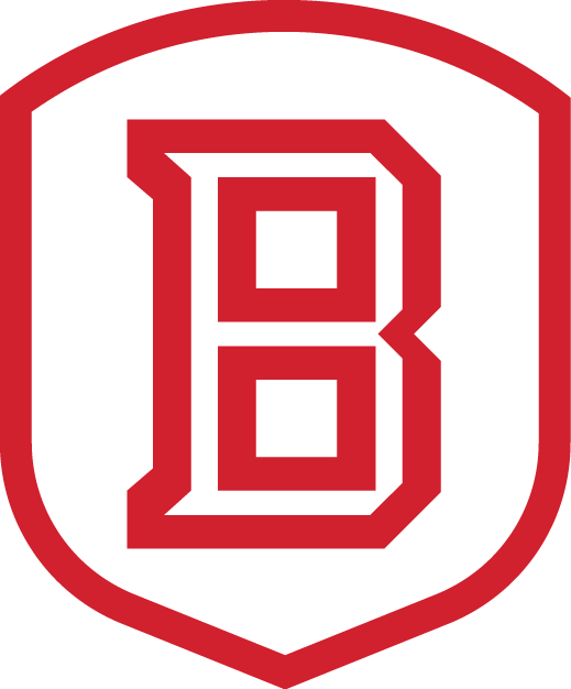 Bradley Braves 2012-Pres Secondary Logo v2 iron on transfers for fabric